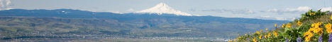 
      Top Image
    